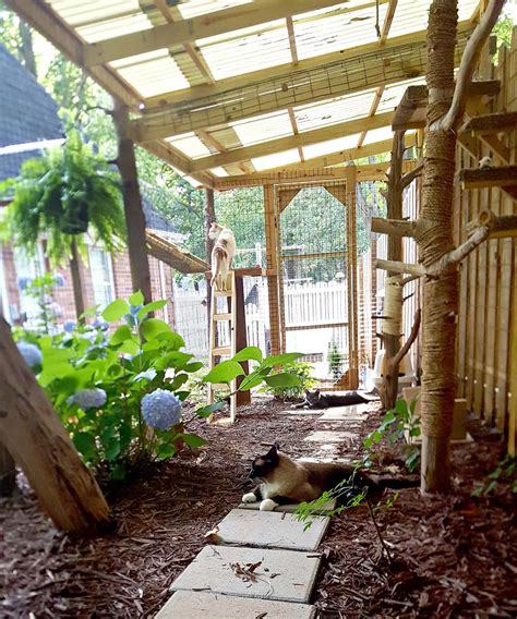 small animal enclosures for outdoors